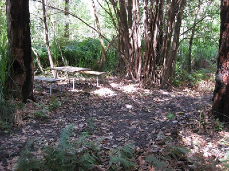 Springfield NSW 2250