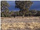 5 Lots Portion-216 Spring Drive, Corowa NSW 2646