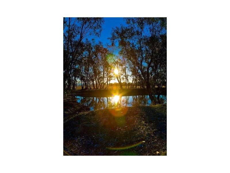 110 Hawthorn Road, Jindera NSW 2642