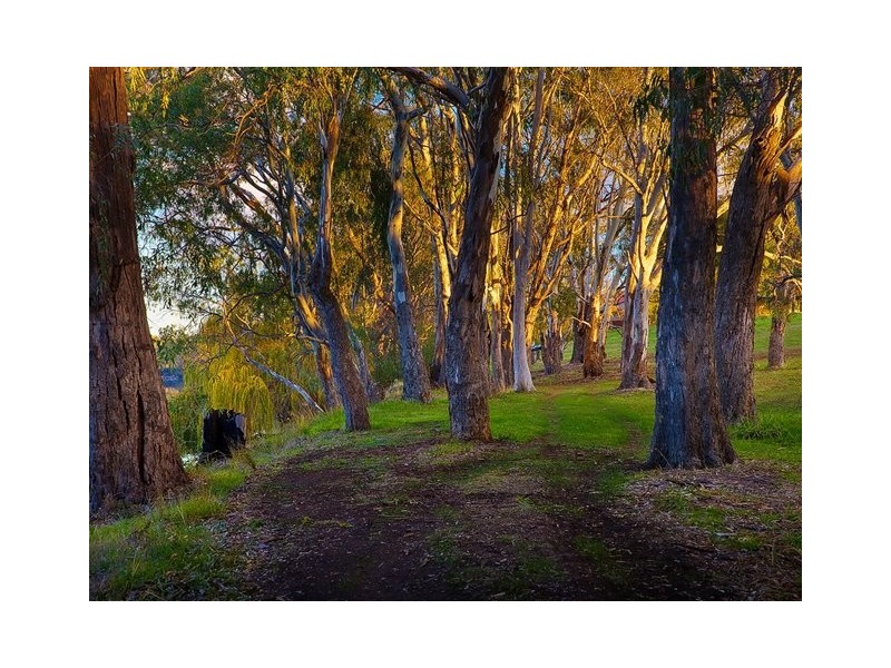 153 River Street, Corowa NSW 2646