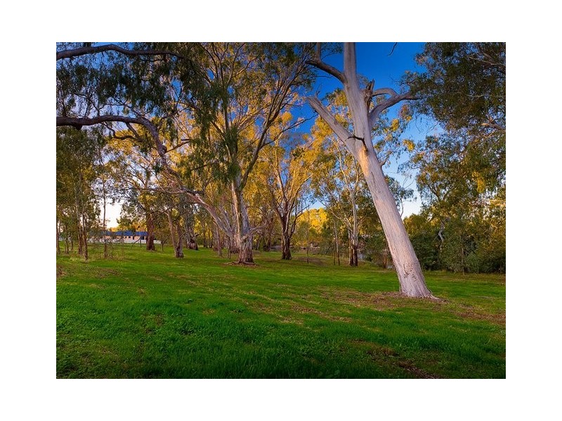 153 River Street, Corowa NSW 2646