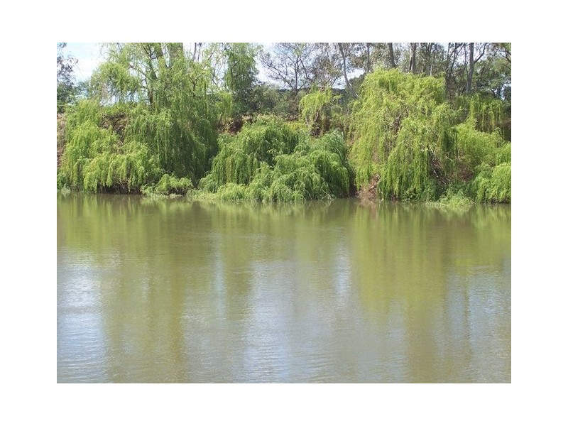 14 Talbot Crescent, Corowa NSW 2646