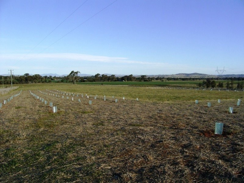 Lot 2 Glenellan Road, Jindera NSW 2642