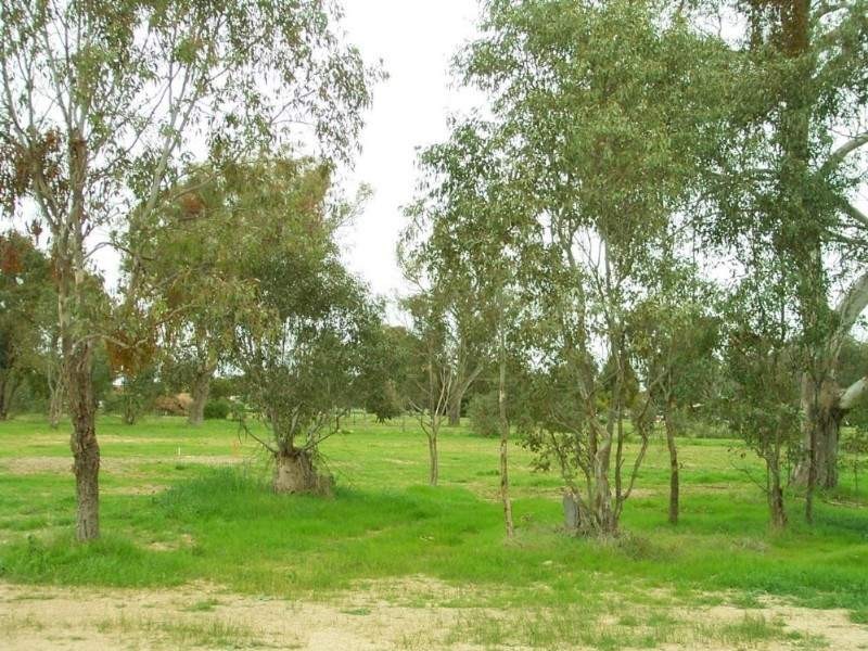 Lot 7 William Place, Howlong NSW 2643