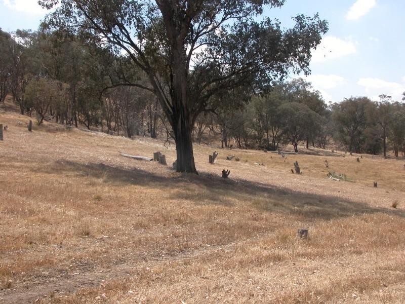 Lot 2-4 Jelbart Road, Jindera NSW 2642