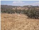 Lot 2-4 Jelbart Road, Jindera NSW 2642