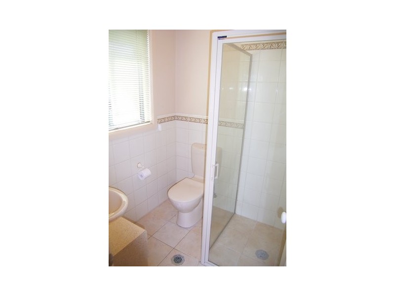 564 Daly Street, Lavington NSW 2641