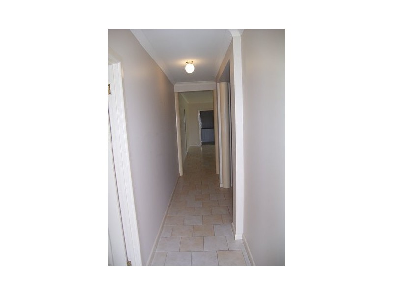 564 Daly Street, Lavington NSW 2641