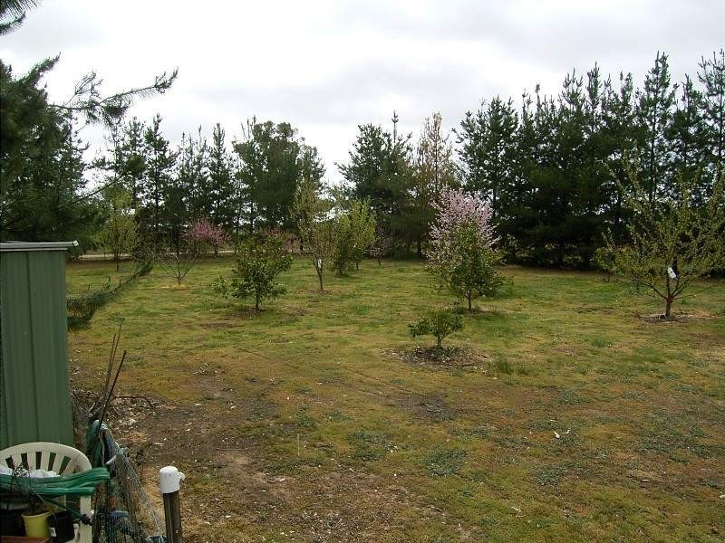 1 Hoffmans Road, Walla Walla NSW 2659