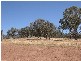 Lot 82 Alexandra Way, Table Top NSW 2640