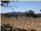 Lot 82 Alexandra Way, Table Top NSW 2640