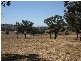 Lot 82 Alexandra Way, Table Top NSW 2640
