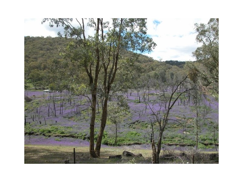 Lot 11 Ferndale Road, Woomargama NSW 2644