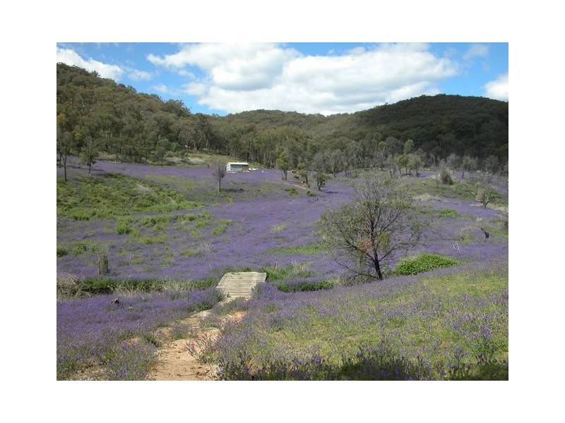 Lot 11 Ferndale Road, Woomargama NSW 2644