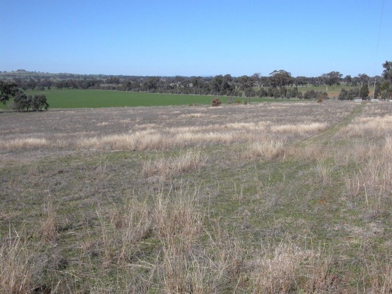 Burrumbuttock NSW 2642