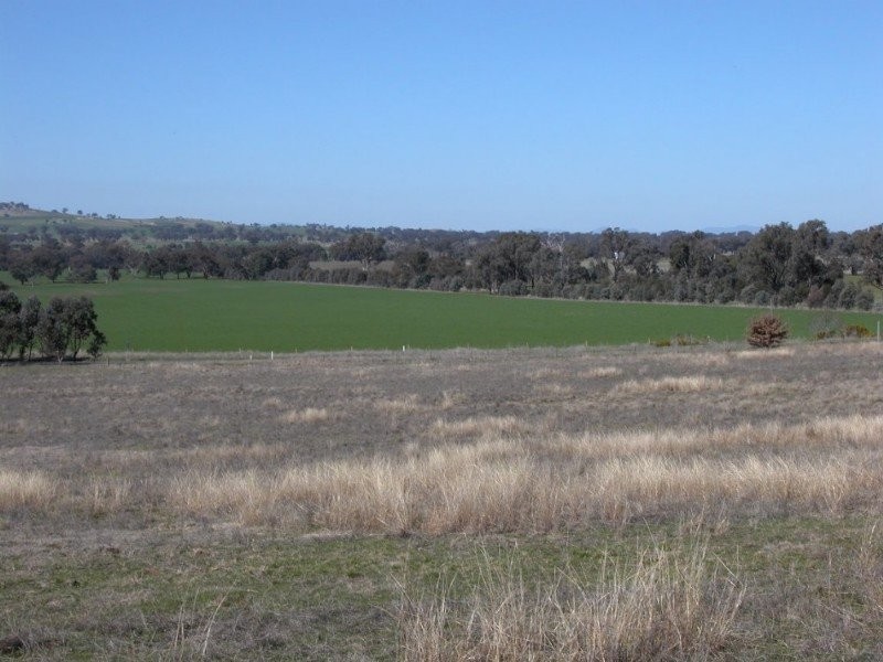 Burrumbuttock NSW 2642