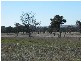 Burrumbuttock NSW 2642