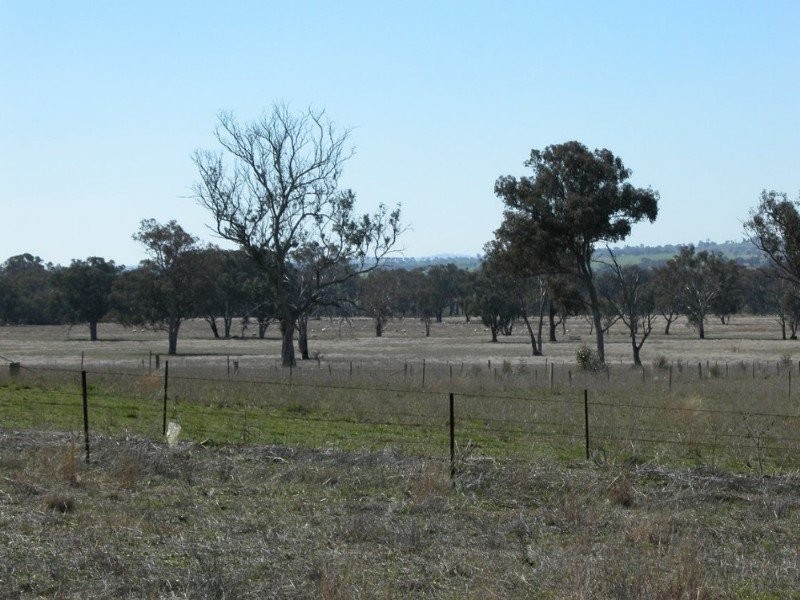 Burrumbuttock NSW 2642