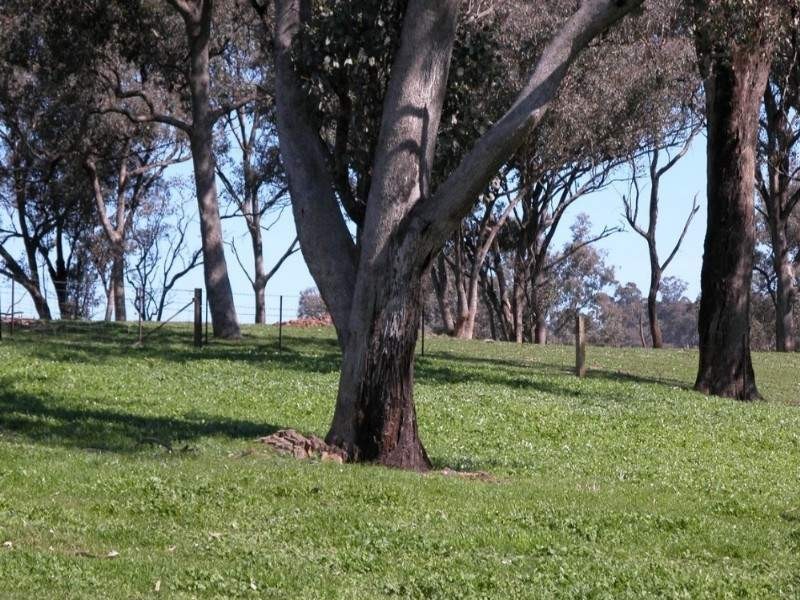 Burrumbuttock NSW 2642