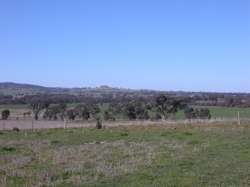 Burrumbuttock NSW 2642