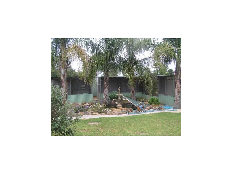 14 Pell Street, Howlong NSW 2643