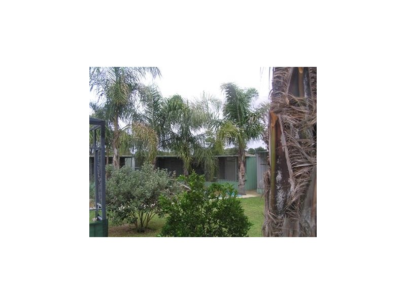 14 Pell Street, Howlong NSW 2643