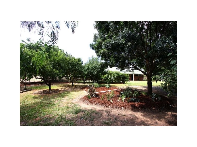 29 Brownrigg Street, Morven NSW 2370