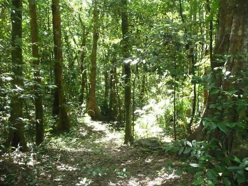 Lot 69 Intake Road, Redlynch QLD 4870