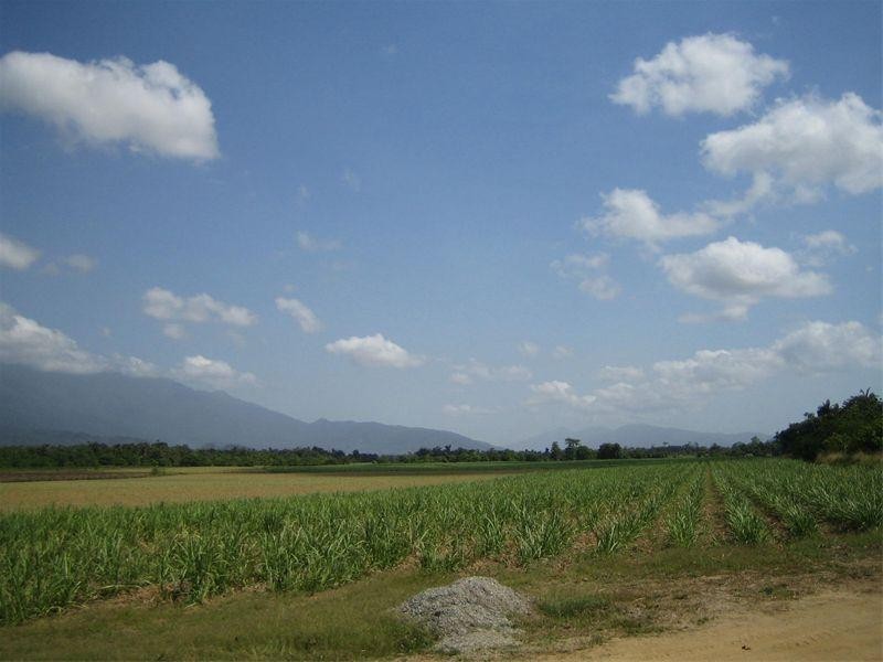 0 Oliveri Road, Babinda QLD 4861