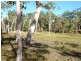 Whitsundays QLD 4802