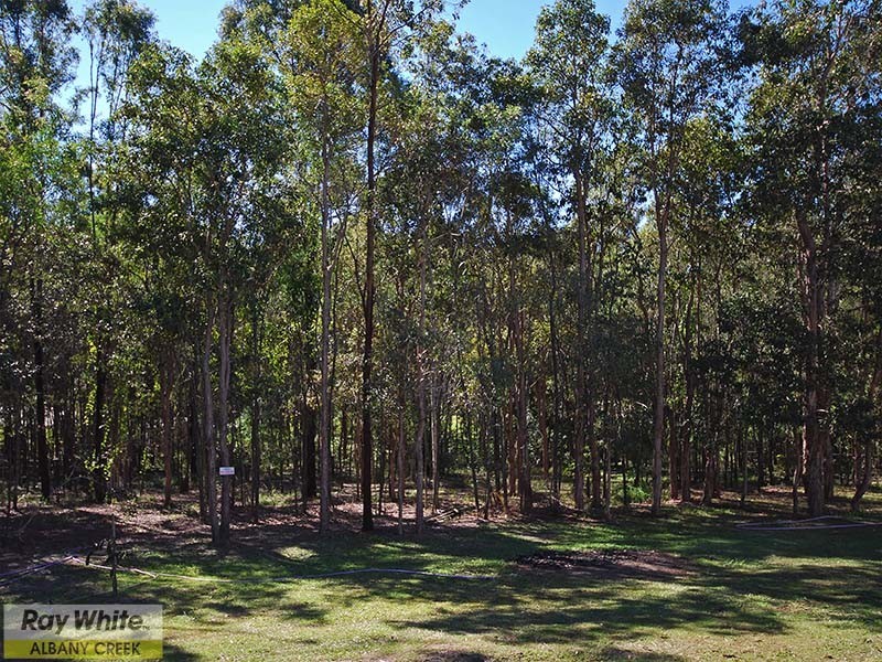 25 Jacksonia Drive, Warner QLD 4500