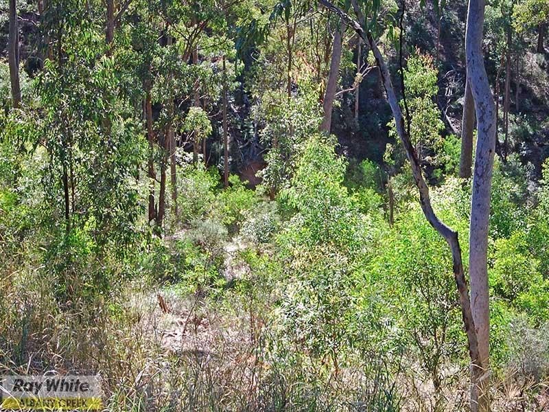 1 Amamoor Court, Cashmere QLD 4500