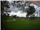 Griffin QLD 4503