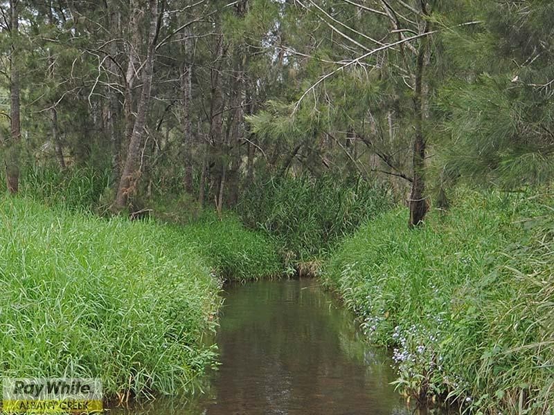 16 Confluence Court, Eatons Hill QLD 4037