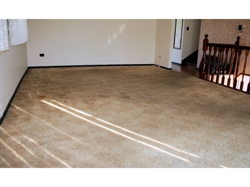 Alexandra Hills QLD 4161