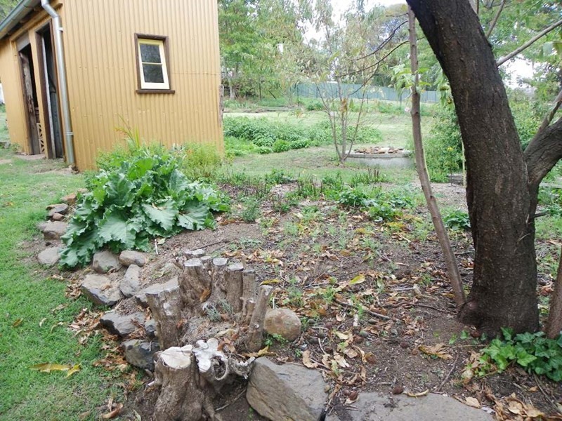 5 Toms Gully Road, Black Mountain NSW 2365