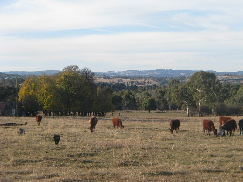 Armidale NSW 2350