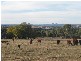 Armidale NSW 2350