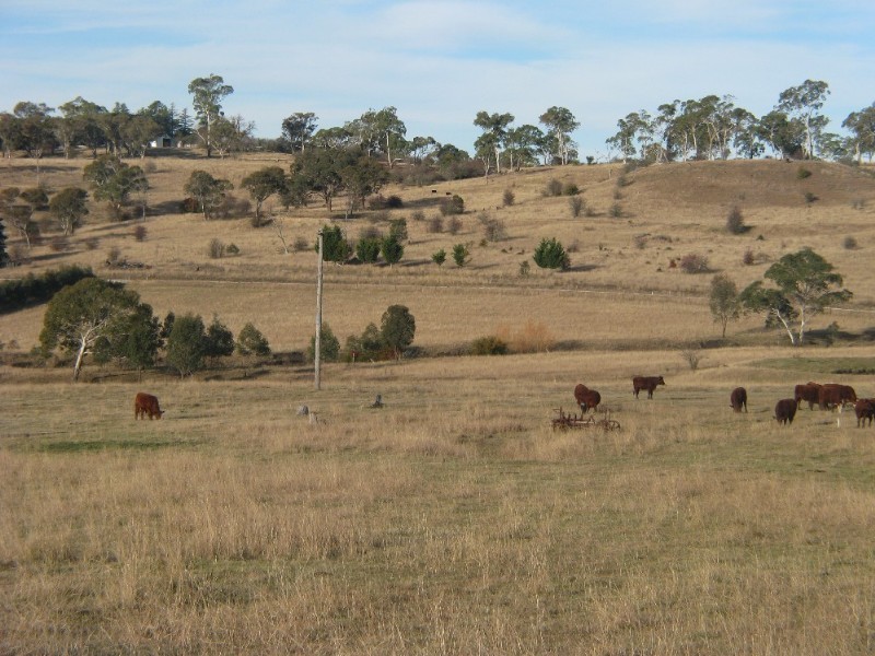Armidale NSW 2350