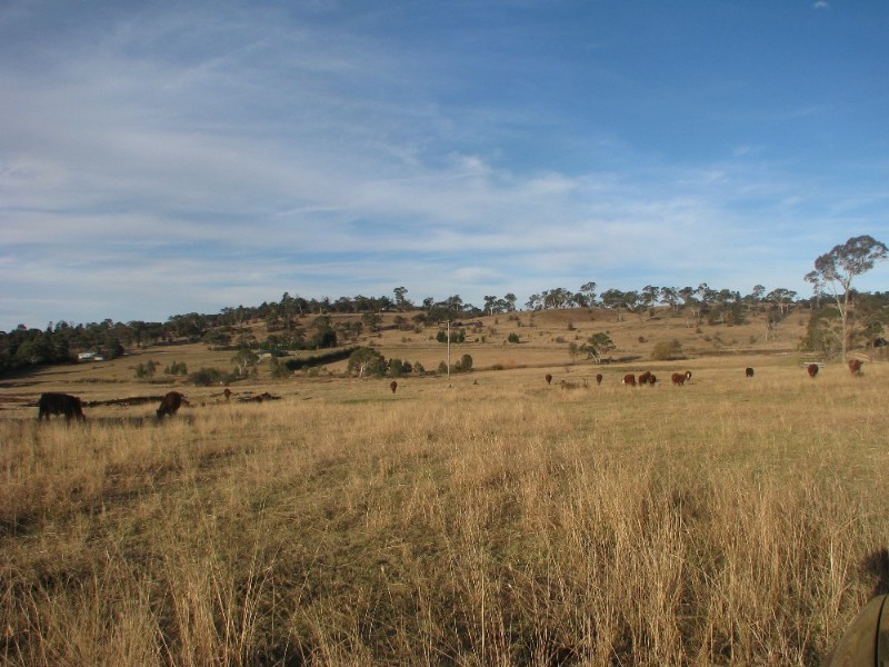 Armidale NSW 2350