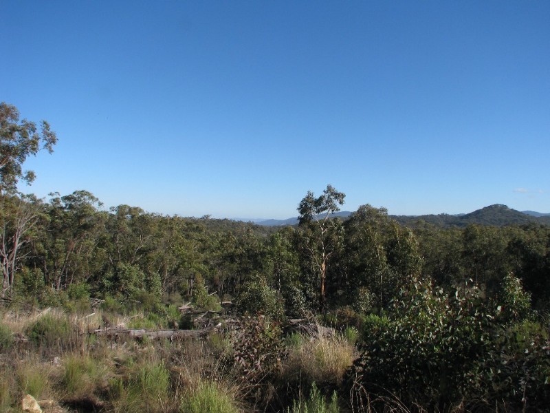 Armidale NSW 2350