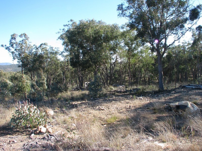 Armidale NSW 2350