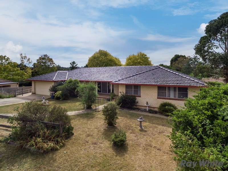11 Chestnut Avenue, Armidale NSW 2350