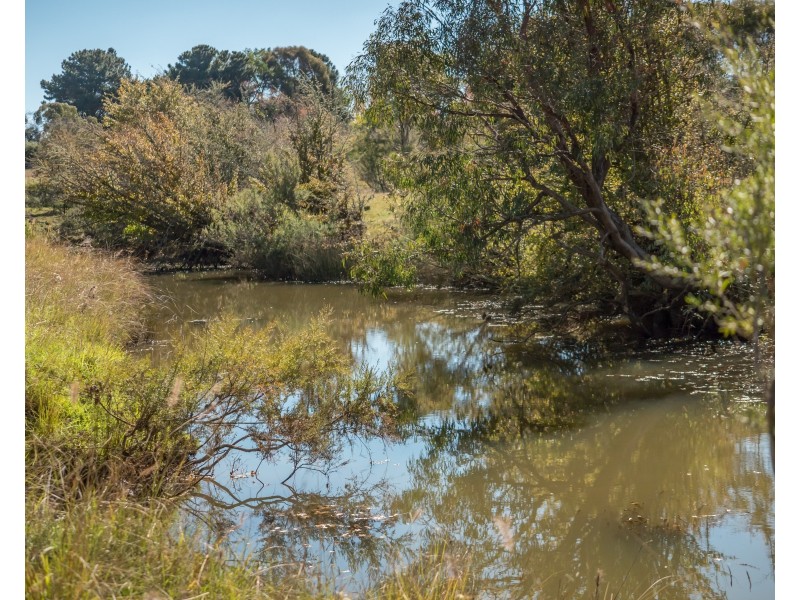 111 Tulong Road, Armidale NSW 2350