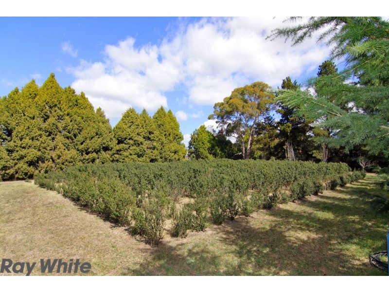 29 Lynland Drive, Armidale NSW 2350