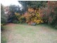 Armidale NSW 2350