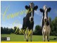 Lot 10 Camerons Dairy, Armidale NSW 2350