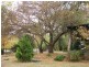 Armidale NSW 2350