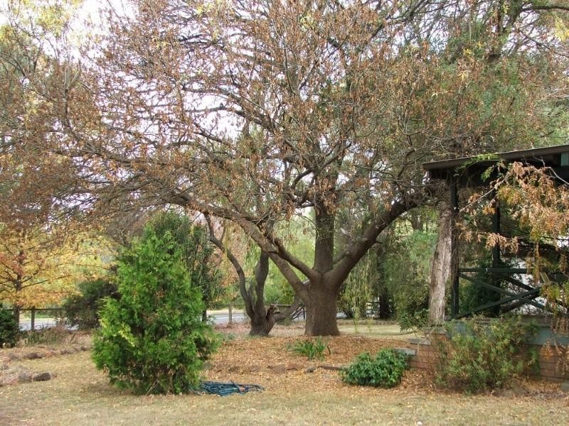 Armidale NSW 2350