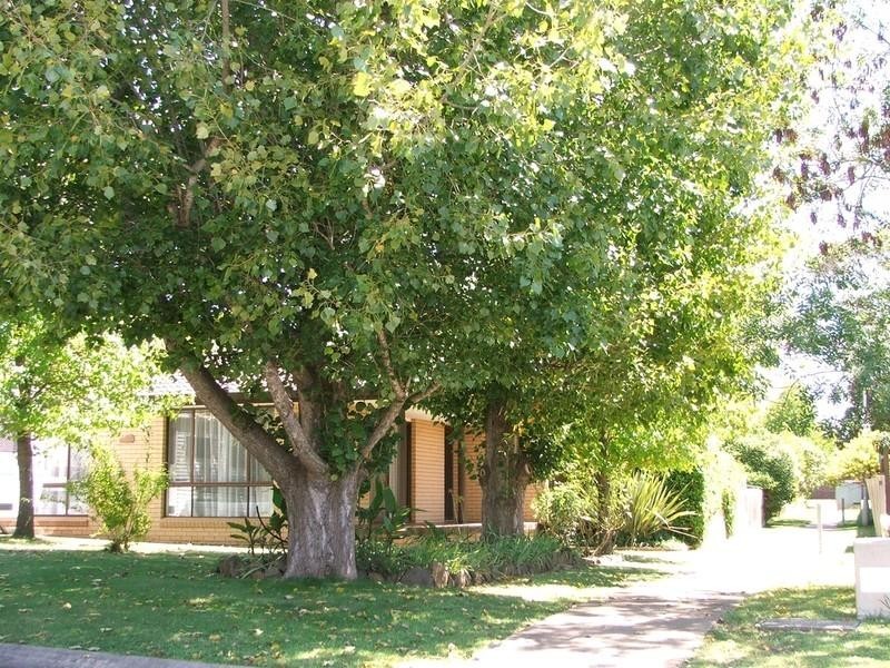 Armidale NSW 2350
